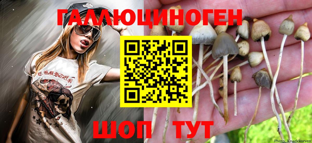 Советская Гавань  Псилоцибиновые грибы мухоморы  Вход с VPN  Псилоцибиновые грибы мухоморы 