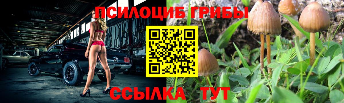 Галлюциногенные грибы мухоморы Советская Гавань